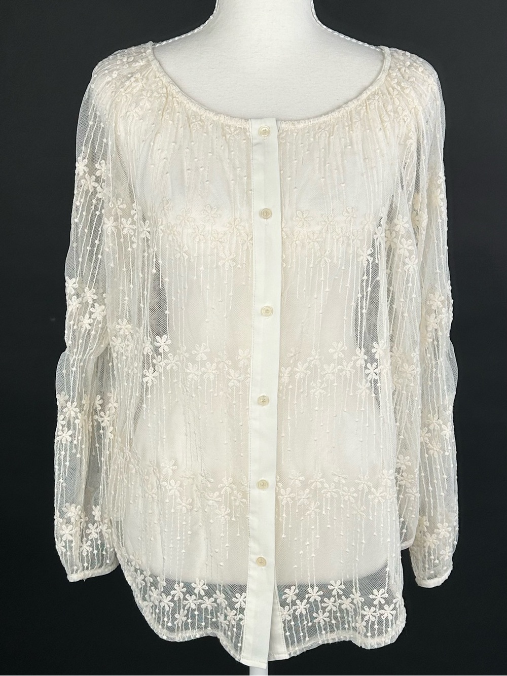 May & July Embroidered Sheer Mesh Blouse L Boho Cottagecore Floral